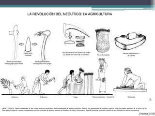 3.1. Economía y sociedad
• ¿Dónde vivían en el
  Neolítico?
 ▫ En poblados estables.
   Estos estaban formados por
   viviendas circulares o
   rectangulares realizadas
   con parees de barro y
   tejado de ramas.
 