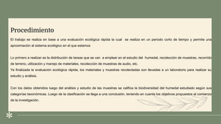 .
Procedimiento
El trabajo se realiza en base a una evaluación ecológica rápida la cual se realiza en un periodo corto de tiempo y permite una
aproximación al sistema ecológico en el que estamos
Lo primero a realizar es la distribución de tareas que se van a emplear en el estudio del humedal, recolección de muestras, recorrido
de terreno, utilización y manejo de materiales, recolección de muestras de audio, etc.
Ya finalizada la evaluación ecológica rápida, los materiales y muestras recolectadas son llevadas a un laboratorio para realizar su
estudio y análisis.
Con los datos obtenidos luego del análisis y estudio de las muestras se califica la biodiversidad del humedal estudiado según sus
categorías taxonómicas. Luego de la clasificación se llega a una conclusión, teniendo en cuenta los objetivos propuestos al comienzo
de la investigación.
.
 