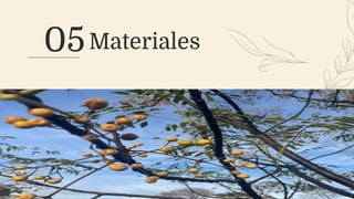 05Materiales
 