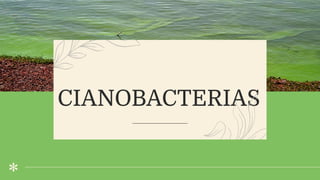 CIANOBACTERIAS
 
