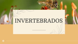 INVERTEBRADOS
 