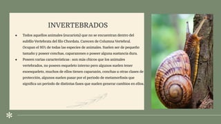 . INVERTEBRADOS
● Todos aquellos animales (eucariota) que no se encuentran dentro del
subﬁlo Vertebrata del ﬁlo Chordata. Carecen de Columna Vertebral.
Ocupan el 95% de todas las especies de animales. Suelen ser de pequeño
tamaño y poseer conchas, caparazones o poseer alguna sustancia dura.
● Poseen varias características : son más chicos que los animales
vertebrados, no poseen esqueleto interno pero algunos suelen tener
exoesqueleto, muchos de ellos tienen caparazón, conchas u otras clases de
protección, algunos suelen pasar por el periodo de metamorfosis que
signiﬁca un periodo de distintas fases que suelen generar cambios en ellos.
 