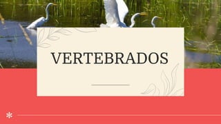 VERTEBRADOS
 