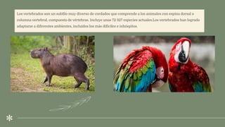 .
Los vertebrados son un subﬁlo muy diverso de cordados que comprende a los animales con espina dorsal o
columna vertebral, compuesta de vértebras. Incluye unas 72 327 especies actuales.Los vertebrados han logrado
adaptarse a diferentes ambientes, incluidos los más difíciles e inhóspitos.
 