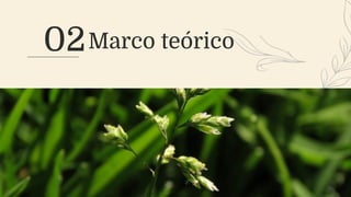02Marco teórico
 