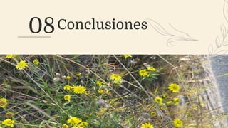 08Conclusiones
 