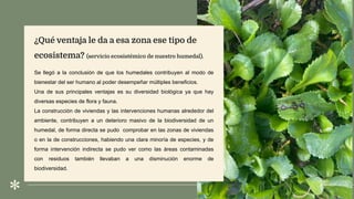 ¿Qué ventaja le da a esa zona ese tipo de
ecosistema? (servicio ecosistémico de nuestro humedal).
Se llegó a la conclusión de que los humedales contribuyen al modo de
bienestar del ser humano al poder desempeñar múltiples beneficios.
Una de sus principales ventajas es su diversidad biológica ya que hay
diversas especies de flora y fauna.
La construcción de viviendas y las intervenciones humanas alrededor del
ambiente, contribuyen a un deterioro masivo de la biodiversidad de un
humedal, de forma directa se pudo comprobar en las zonas de viviendas
o en la de construcciones, habiendo una clara minoría de especies, y de
forma intervención indirecta se pudo ver como las áreas contaminadas
con residuos también llevaban a una disminución enorme de
biodiversidad.
 