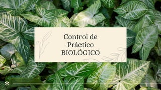 Control de
Práctico
BIOLÓGICO
 