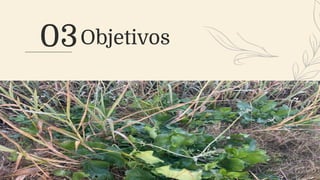03Objetivos
 