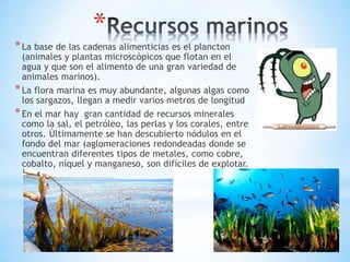 *
*La base de las cadenas alimenticias es el plancton
(animales y plantas microscópicos que flotan en el
agua y que son el alimento de una gran variedad de
animales marinos).
*La flora marina es muy abundante, algunas algas como
los sargazos, llegan a medir varios metros de longitud
*En el mar hay gran cantidad de recursos minerales
como la sal, el petróleo, las perlas y los corales, entre
otros. Últimamente se han descubierto nódulos en el
fondo del mar (aglomeraciones redondeadas donde se
encuentran diferentes tipos de metales, como cobre,
cobalto, níquel y manganeso, son difíciles de explotar.
 