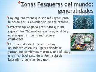 *
*Hay algunas zonas que son más aptas para
la pesca por la abundancia de ese recurso.
*Destacan aguas poco profundas que no
superan los 200 metros (sardina, el atún y
el arenque, así como moluscos y
crustáceos)
*Otra zona donde la pesca es muy
abundante es en los lugares donde se
juntan dos corrientes marinas, una cálida y
una fría. Es el caso de la Península de
Labrador y las islas de Japón.
 
