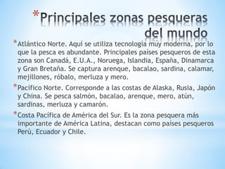 *
*Atlántico Norte. Aquí se utiliza tecnología muy moderna, por lo
que la pesca es abundante. Principales países pesqueros de esta
zona son Canadá, E.U.A., Noruega, Islandia, España, Dinamarca
y Gran Bretaña. Se captura arenque, bacalao, sardina, calamar,
mejillones, róbalo, merluza y mero.
*Pacífico Norte. Corresponde a las costas de Alaska, Rusia, Japón
y China. Se pesca salmón, bacalao, arenque, mero, atún,
sardinas, merluza y camarón.
*Costa Pacífica de América del Sur. Es la zona pesquera más
importante de América Latina, destacan como países pesqueros
Perú, Ecuador y Chile.
 