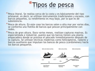 *
*Pesca litoral. Se realiza cerca de la costa y es básicamente del tipo
artesanal, es decir, se utilizan instrumentos tradicionales y escasos, con
barcos pequeños, su rendimiento es muy bajo, por lo que es de
subsistencia.
*Pesca de altura. En este caso los barcos salen a alta mar por varios días,
se conforma una flotilla de barcos que pescan principalmente con
redes.
*Pesca de gran altura. Dura varios meses, realizan capturas masivas. Es
especializada e industrial, puesto que los barcos tienen una planta
empacadora donde se procesa el pescado inmediatamente después de
la captura. Se utilizan técnicas modernas como helicópteros, radares y
barcos auxiliares que impulsan los bancos de pesca (cardúmenes) hacia
los barcos pesqueros.
 