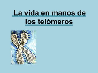 La vida en manos de
los telómeros

 