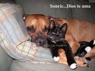 Sonríe...Dios te ama 