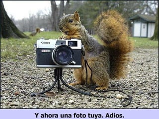 Y ahora una foto tuya. Adios. 