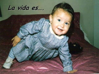 La Vida Es..