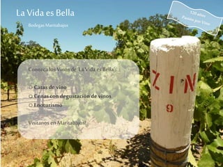 La Vida es Bella
BodegasMaritabajos
Conozca los Vinos de‘La Vida es Bella’:
oCatas de vino
oCenascon degustación de vinos
oEnoturismo
Visítanos enMaritabajos!
 