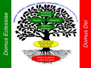 Eucaristía
dominical
Oración Adoración
Reserva
enfermos
DomusEclessiae
DomusDei
Lavar, ungir, partir el pan,
compartir el cáliz, levantar
los brazos, bendecir,
imponer las manos
Belleza de celebrar
a Jesús resucitado
 