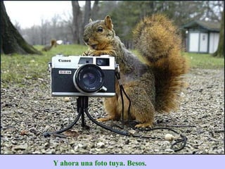 Y ahora una foto tuya. Besos.
 