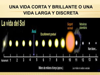 UNA VIDA CORTA Y BRILLANTE O UNA
VIDA LARGA Y DISCRETA
 