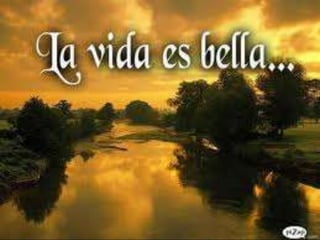 La vida es vella