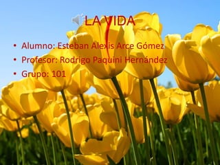 LA VIDA
• Alumno: Esteban Alexis Arce Gómez
• Profesor: Rodrigo Paquini Hernández
• Grupo: 101

 