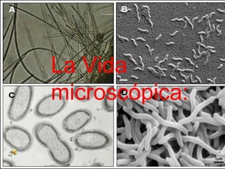 La Vida
microscópica:
 