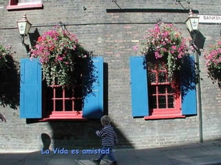 La Vida es amistad –La Vida es amistad –
 