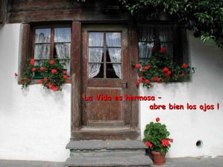 La Vida es hermosa –La Vida es hermosa –
abre bien los ojos !abre bien los ojos !
 