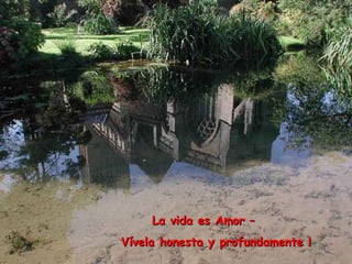 La vida es Amor –La vida es Amor –
Vívela honesta y profundamente !Vívela honesta y profundamente !
 