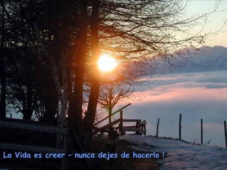 La Vida es creer – nunca dejes de hacerlo !La Vida es creer – nunca dejes de hacerlo !
 