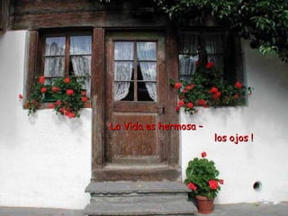 La Vida es hermosa –  abre bien los ojos ! 