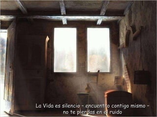La Vida es silencio – encuentro contigo mismo – no te pierdas en el ruido 