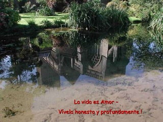 La vida es Amor –  Vívela honesta y profundamente ! 