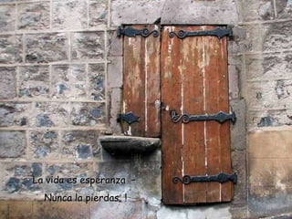 La vida es esperanza  –  Nunca la pierdas  ! 