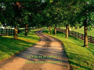 La Vida es un camino – Camina siempre adelante ! 