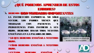¿QUÉ PODEMOS APRENDERDE ESTOS¿QUÉ PODEMOS APRENDERDE ESTOS
ERRORES?ERRORES?
DOS VERDADES IMPORTANTESDOS VERDADES IMPORTANTESA.A. DEBEMOS INSTRUIRA NUESTROS HIJOS.DEBEMOS INSTRUIRA NUESTROS HIJOS.
LA INSTRUCCIÓN ESPIRITUAL NO SÓLOLA INSTRUCCIÓN ESPIRITUAL NO SÓLO
SUCEDE. LOS PADRES TIENEN QUESUCEDE. LOS PADRES TIENEN QUE
TRABAJAR CON PACIENCIA YTRABAJAR CON PACIENCIA Y
PERSISTENCIA PARA INSTRUIR A SUSPERSISTENCIA PARA INSTRUIR A SUS
HIJOS. DEBEMOS BASAR TODA NUESTRAHIJOS. DEBEMOS BASAR TODA NUESTRA
ENSEÑANZA EN LA PALABRA DE DIOS.ENSEÑANZA EN LA PALABRA DE DIOS.
LO QUE DEBEMOS ENSEÑARA NUESTROSLO QUE DEBEMOS ENSEÑARA NUESTROS
HIJOS.HIJOS.
CÓMO DEBEMOS ENSEÑAR A NUESTROSCÓMO DEBEMOS ENSEÑAR A NUESTROS
HIJOS.HIJOS.
 