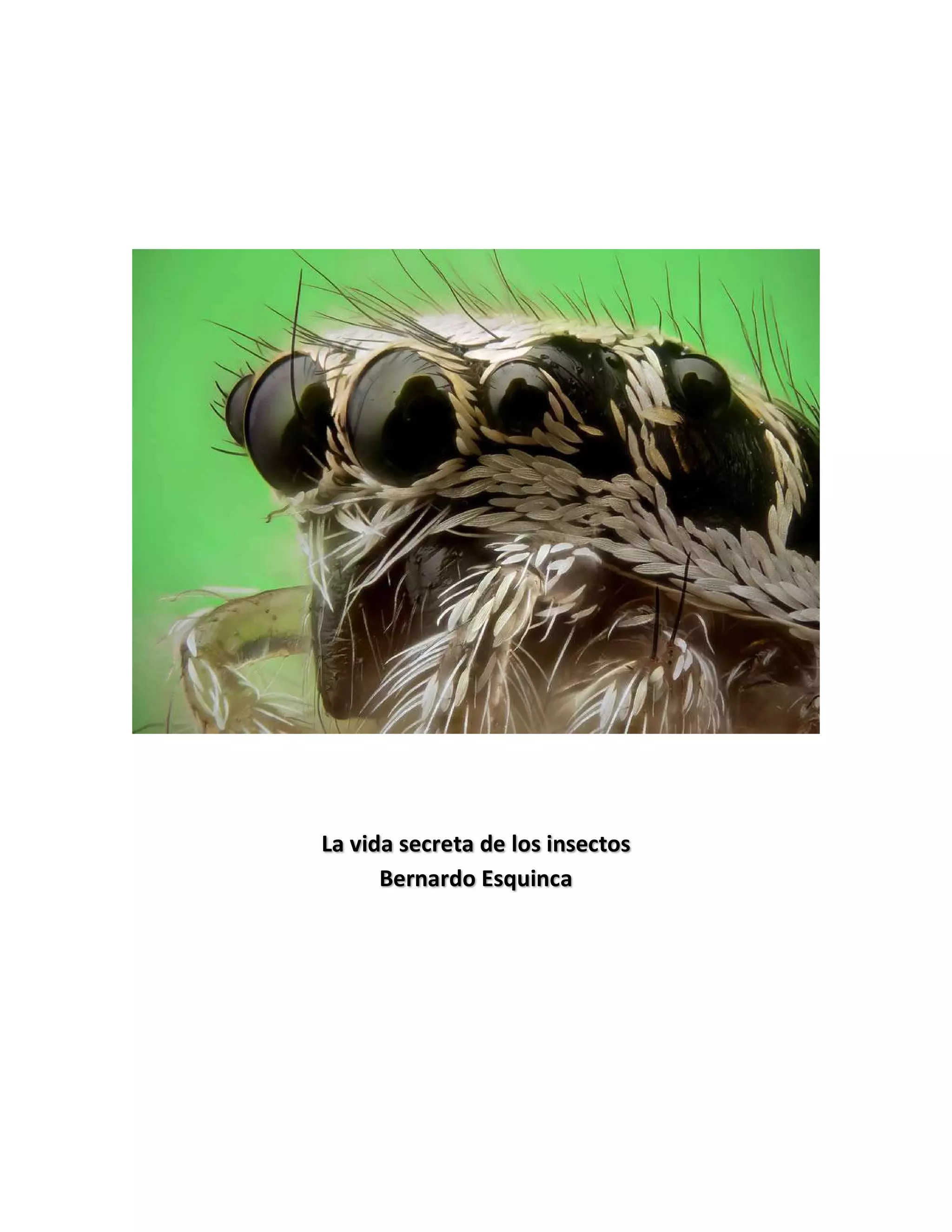 La vida secreta de los insectos | PDF