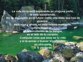 La vida no te está esperando en ninguna parte,  te está sucediendo.  No se encuentra en el futuro como una meta que has de alcanzar,  está aquí y ahora, en este mismo momento,  en tu respirar,  en la circulación de tu sangre,  en el latir de tu corazón.  Cualquier cosa que seas es tu vida  y si te pones a buscar significados  en otra parte, te la perderás.  