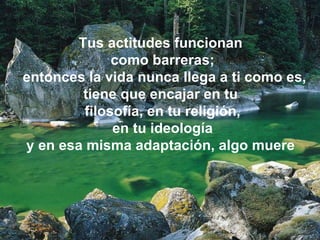 Tus actitudes funcionan  como barreras; entonces la vida nunca llega a ti como es,  tiene que encajar en tu  filosofía, en tu religión, en tu ideología  y en esa misma adaptación, algo muere   