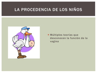  Múltiples teorías que
desconocen la función de la
vagina
LA PROCEDENCIA DE LOS NIÑOS
 