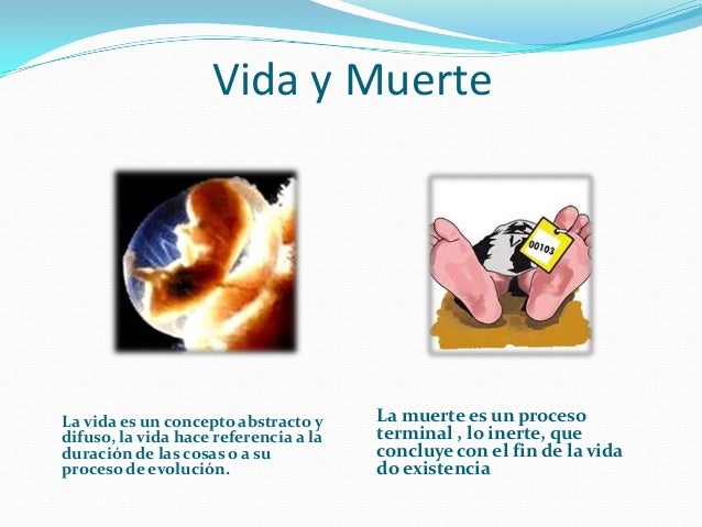 La vida y la muerte