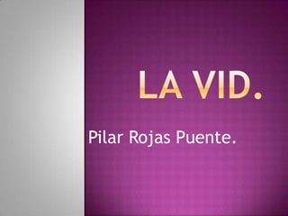LA VID. Pilar Rojas Puente. 