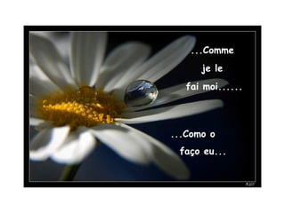 ...Comme  je le  fai moi...... ...Como o  faço eu... 