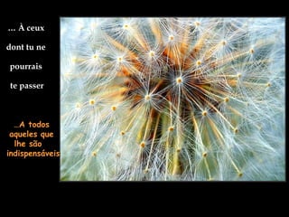 …   À ceux  dont tu ne  pourrais  te passer … A todos aqueles que lhe são  indispensáveis 
