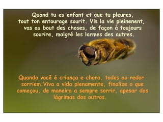 Quand tu es enfant et que tu pleures, tout ton entourage sourit. Vis la vie pleinenent,  vas au bout des choses, de façon à toujours sourire, malgré les larmes des autres. Quando você é criança e chora, todos ao redor  sorriem.Viva a vida plenamente, finalize o que começou, de maneira a sempre sorrir, apesar das lágrimas dos outros.   