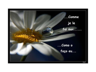 ...Comme  je le  fai moi...... ...Como o  faço eu... 