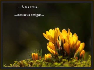 … À tes amis...   ...Aos seus amigos... 