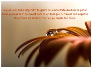 Le plus beau futur dépendra toujours de la nécessité d’oublier le passé.  Tu ne pourras aller de l’avant dans la vie tant que tu n’auras pas surpassé  les erreurs du passé et tout ce qui blesse ton coeur.  